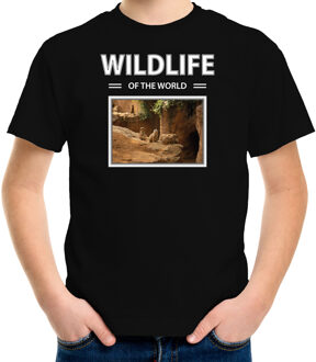 Bellatio Decorations Dieren foto t-shirt Stokstaartje - zwart - kinderen - wildlife of the world - cadeau shirt Stokstaartjes liefhebber XS (110-116)