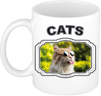 Bellatio Decorations Dieren gekke poes beker - cats/ katten mok wit 300 ml - feest mokken