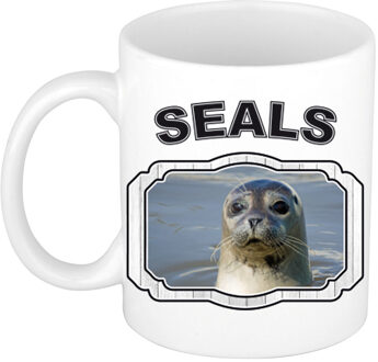 Bellatio Decorations Dieren grijze zeehond beker - seals/ zeehonden mok wit 300 ml