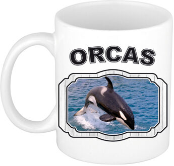 Bellatio Decorations Dieren grote orka beker - orcas/ orka walvissen mok wit 300 ml - feest mokken