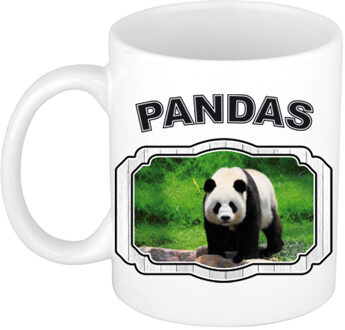 Bellatio Decorations Dieren grote panda beker - pandas/ pandaberen mok wit 300 ml - feest mokken