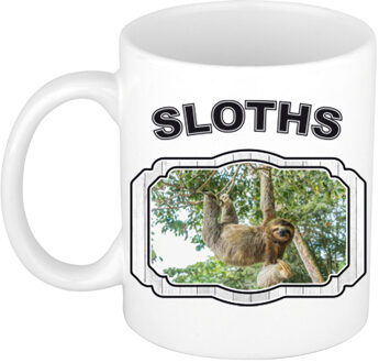 Bellatio Decorations Dieren hangende luiaard beker - sloths/ luiaarden mok wit 300 ml - feest mokken