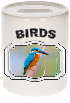 Bellatio Decorations Dieren ijsvogel spaarpot - birds/ vogels spaarpotten kinderen 9 cm