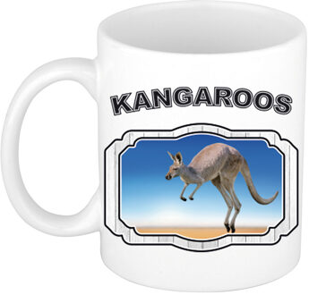 Bellatio Decorations Dieren kangoeroe beker - kangaroos/ kangoeroes mok wit 300 ml