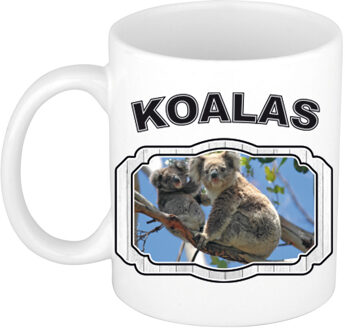 Bellatio Decorations Dieren koala beer beker - koalas/ koalaberen mok wit 300 ml - feest mokken