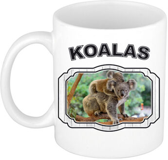 Bellatio Decorations Dieren koala beker - koalas/ koalaberen mok wit 300 ml - feest mokken