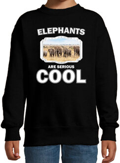 Bellatio Decorations Dieren kudde olifanten sweater zwart kinderen - elephants are serious cool trui - cadeau olifant/ olifanten liefhebber 12-13 jaar (152/164)