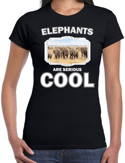 Bellatio Decorations Dieren kudde olifanten t-shirt zwart dames - elephants are serious cool shirt - cadeau t-shirt olifant / olifanten liefhebber 2XL