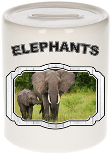 Bellatio Decorations Dieren liefhebber olifant spaarpot - olifanten cadeau - Spaarpotten Multikleur