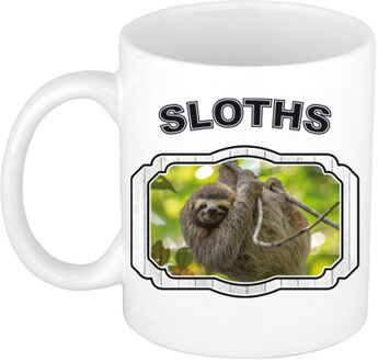 Bellatio Decorations Dieren luiaard beker - sloths/ luiaards mok wit 300 ml