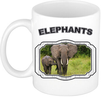 Bellatio Decorations Dieren olifant met kalf beker - elephants/ olifanten mok wit 300 ml - feest mokken