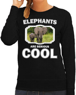 Bellatio Decorations Dieren olifant met kalf sweater zwart dames - elephants are serious cool trui - cadeau sweater olifant/ olifanten liefhebber 2XL