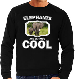 Bellatio Decorations Dieren olifant met kalf sweater zwart heren - elephants are serious cool trui - cadeau sweater olifant/ olifanten liefhebber 2XL