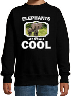 Bellatio Decorations Dieren olifant met kalf sweater zwart kinderen - elephants are serious cool trui - cadeau olifant/ olifanten liefhebber 12-13 jaar (152/164)