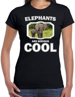 Bellatio Decorations Dieren olifant met kalf t-shirt zwart dames - elephants are serious cool shirt - cadeau t-shirt olifant/ olifanten liefhebber 2XL