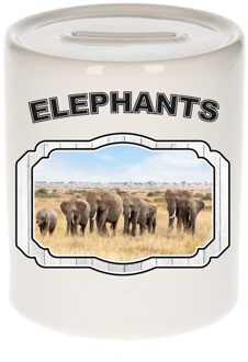 Bellatio Decorations Dieren olifant spaarpot - elephants/ olifanten spaarpotten kinderen 9 cm