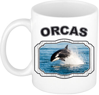 Bellatio Decorations Dieren orka beker - orcas/ orka vissen mok wit 300 ml - feest mokken