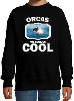 Bellatio Decorations Dieren orka vissen sweater zwart kinderen - orcas are serious cool trui jongens/ meisjes - cadeau orka/ orka vissen liefhebber 12-13 jaar (152/164)