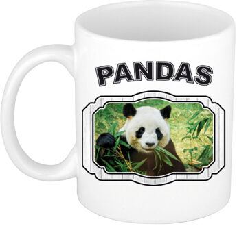 Bellatio Decorations Dieren panda beker - pandas/ pandaberen mok wit 300 ml - feest mokken