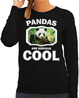 Bellatio Decorations Dieren pandaberen sweater zwart dames - pandas are serious cool trui - cadeau sweater panda/ pandaberen liefhebber 2XL