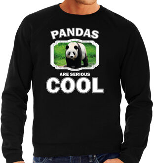 Bellatio Decorations Dieren pandaberen sweater zwart heren - pandas are serious cool trui - cadeau sweater grote panda/ pandaberen liefhebber 2XL