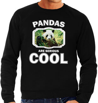 Bellatio Decorations Dieren pandaberen sweater zwart heren - pandas are serious cool trui - cadeau sweater panda/ pandaberen liefhebber 2XL