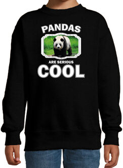 Bellatio Decorations Dieren pandaberen sweater zwart kinderen - pandas are serious cool trui jongens/ meisjes - cadeau grote panda/ pandaberen liefhebber 12-13 jaar (152/164)