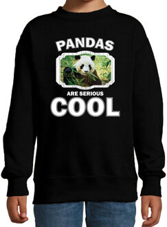 Bellatio Decorations Dieren pandaberen sweater zwart kinderen - pandas are serious cool trui jongens/ meisjes - cadeau panda/ pandaberen liefhebber 12-13 jaar (152/164)