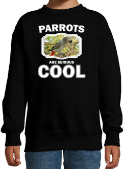 Bellatio Decorations Dieren papegaaien sweater zwart kinderen - parrots are serious cool trui jongens/ meisjes - cadeau grijze roodstaart papegaai/ papegaaien liefhebber 12-13 jaar (152/164)