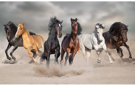 Bellatio Decorations Dieren poster galopperende paarden in het zand - 84 x 52 cm - Kinderkamer deco posters