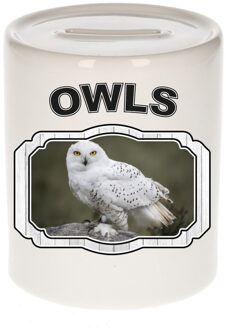 Bellatio Decorations Dieren sneeuwuil spaarpot - owls/ uilen spaarpotten kinderen 9 cm