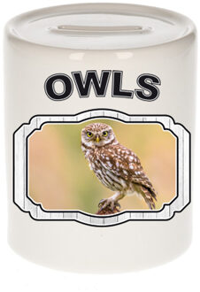 Bellatio Decorations Dieren steenuil spaarpot - owls/ uilen spaarpotten kinderen 9 cm Beige