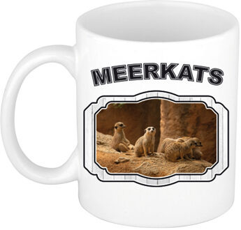 Bellatio Decorations Dieren stokstaartje beker - meerkats/ stokstaartjes mok wit 300 ml - feest mokken