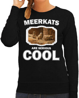 Bellatio Decorations Dieren stokstaartjes sweater zwart dames - meerkats are serious cool trui - cadeau sweater stokstaartje/ stokstaartjes liefhebber 2XL