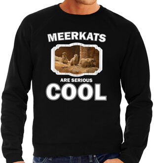 Bellatio Decorations Dieren stokstaartjes sweater zwart heren - meerkats are serious cool trui - cadeau sweater stokstaartje/ stokstaartjes liefhebber 2XL