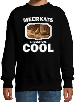 Bellatio Decorations Dieren stokstaartjes sweater zwart kinderen - meerkats are serious cool trui jongens/ meisjes - cadeau stokstaartje/ stokstaartjes liefhebber 12-13 jaar (152/164)