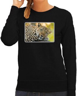 Bellatio Decorations Dieren sweater met jaguars foto - zwart - voor dames - natuur / jaguar cadeau trui - kleding / sweat shirt 2XL