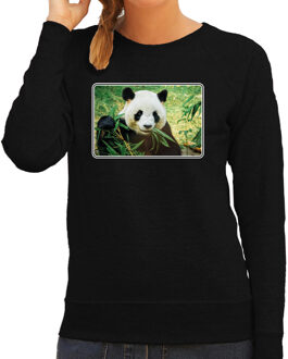 Bellatio Decorations Dieren sweater met pandaberen foto - zwart - voor dames - natuur / panda cadeau trui - kleding / sweat shirt 2XL