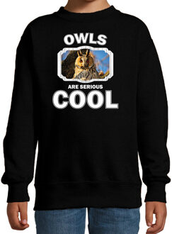 Bellatio Decorations Dieren uilen sweater zwart kinderen - owls are serious cool trui jongens/ meisjes - cadeau ransuil/ uilen liefhebber 12-13 jaar (152/164)