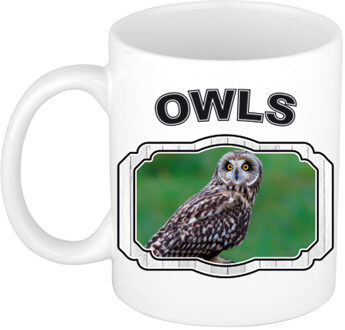 Bellatio Decorations Dieren velduil beker - owls/ uilen mok wit 300 ml