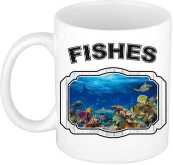 Bellatio Decorations Dieren vis beker - fishes/ vissen mok wit 300 ml