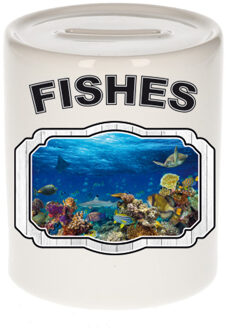 Bellatio Decorations Dieren vis spaarpot - fishes/ vissen spaarpotten kinderen 9 cm