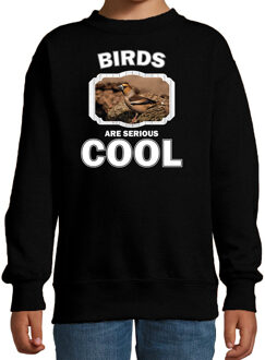 Bellatio Decorations Dieren vogels sweater zwart kinderen - birds are serious cool trui jongens/ meisjes - cadeau appelvink vogel/ vogels liefhebber 12-13 jaar (152/164)