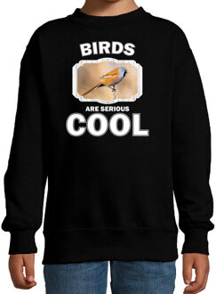 Bellatio Decorations Dieren vogels sweater zwart kinderen - birds are serious cool trui jongens/ meisjes - cadeau baardmannetje vogel/ vogels liefhebber 12-13 jaar (152/164)