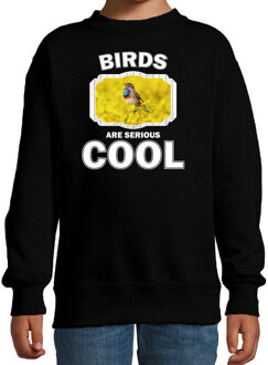 Bellatio Decorations Dieren vogels sweater zwart kinderen - birds are serious cool trui jongens/ meisjes - cadeau blauwborst vogel/ vogels liefhebber 12-13 jaar (152/164)