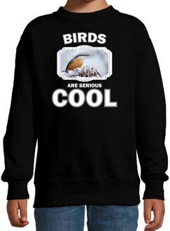 Bellatio Decorations Dieren vogels sweater zwart kinderen - birds are serious cool trui jongens/ meisjes - cadeau boomklever vogel/ vogels liefhebber 12-13 jaar (152/164)