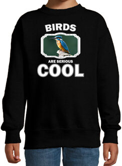 Bellatio Decorations Dieren vogels sweater zwart kinderen - birds are serious cool trui jongens/ meisjes - cadeau ijsvogel zittend/ vogels liefhebber 12-13 jaar (152/164)