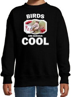 Bellatio Decorations Dieren vogels sweater zwart kinderen - birds are serious cool trui jongens/ meisjes - cadeau pestvogel/ vogels liefhebber 12-13 jaar (152/164)