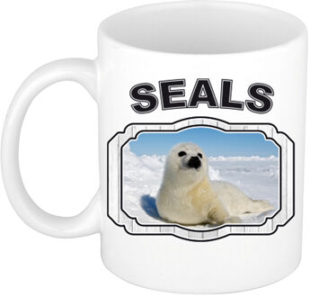 Bellatio Decorations Dieren zeehond beker - seals/ zeehonden mok wit 300 ml - feest mokken