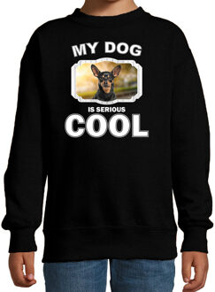 Bellatio Decorations Dwergpinscher honden trui / sweater my dog is serious cool zwart - kinderen - Dwergpinschers liefhebber cadeau sweaters 12-13 jaar (152/164)